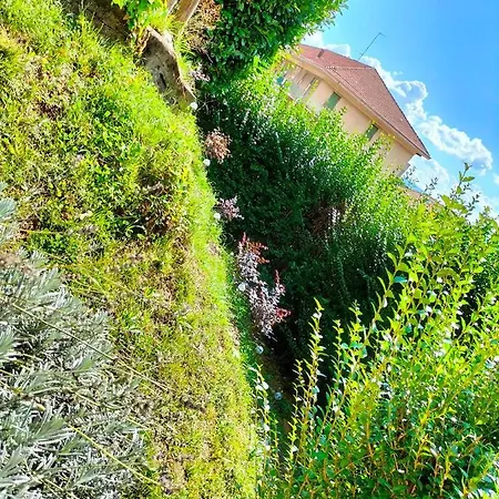 L'angolo Di Erika *