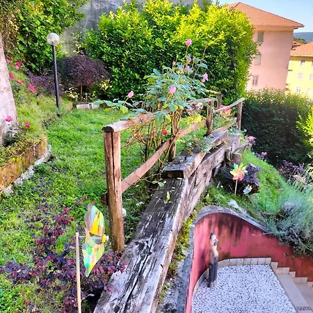 L'angolo Di Erika