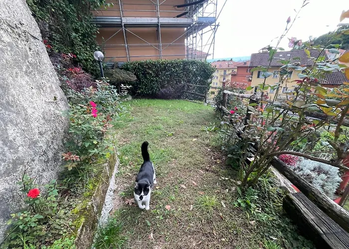 بيت للعطل L'angolo Di Erika بييلا